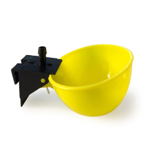Product 5